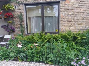 Ventspils Apartments