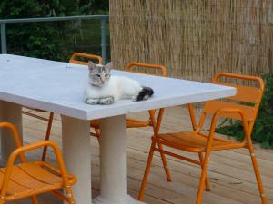 Maisons de vacances Workshop with shared pool for 2-6 in Semur en Auxois, Burgundy : photos des chambres