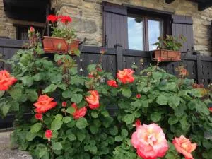 Dimora tra le Alpi - cir n 0004 - Introd