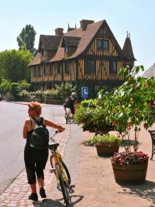 Hotels Hotel Restaurant Le Dauphin et Le Spa du Prieure : photos des chambres