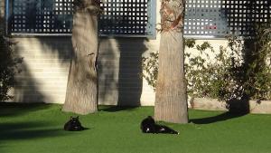 Aпартаменты в San Juan Playa