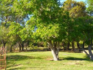 al otro lado del río