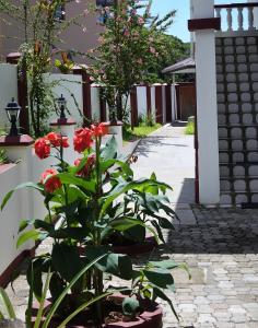 Armony Residence Holiday Apartment 2