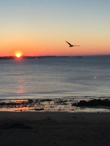 Appartements Gite Jean Dunois - Saint Malo : photos des chambres