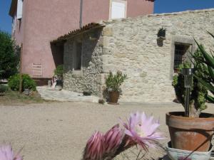 Appartements La Bastide des Raisins : photos des chambres