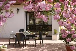 拉马克斯勒尚布酒店 - Chieulles