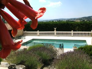 Appartements La Bastide des Raisins : photos des chambres