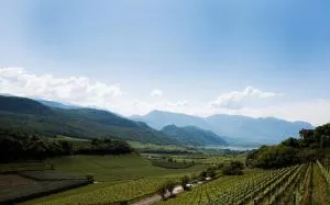 Apartments Windegg - كالدورا