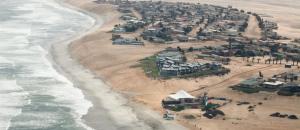 First Group Desert Rose