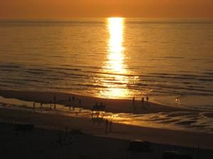 Appartement sur la digue - De Haan - Le Coq - Silver Beach D2