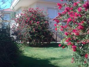 Annas Villas by the Sea