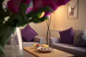 Kirk View Apartment - 斯特灵