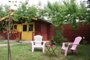 Chalet aux pied des vignes