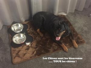 Hotels Hotel Saphir Lyon : photos des chambres
