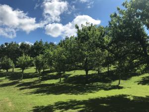 Hotels Chateau de Loubejac : photos des chambres