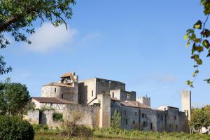 Hotels Logis L'Auberge de Larressingle : photos des chambres