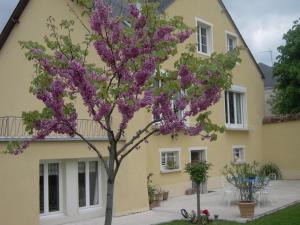 Sejours chez l'habitant 54 AV ROGERS MARTIN DU GARD : photos des chambres