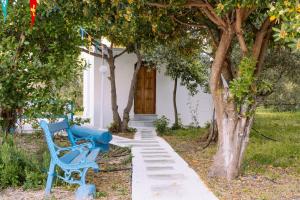 Thymianos Apartments Naxos Greece