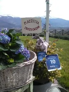B&B Fonte Cugno - 瓜尔多塔迪诺
