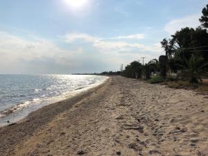 Beachfront Cottage Halkidiki Greece