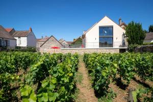 Maisons de vacances La Maison des Rugiens : photos des chambres