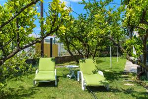 Vacation House Bile