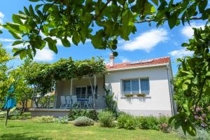Vacation House Bile