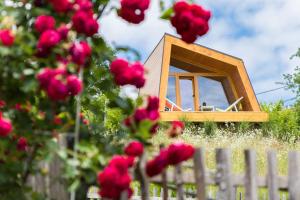 Superior Double Room with Terrace room in Panorama Glamping Visole