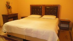 Double Room room in Bristol Hotel Tirana