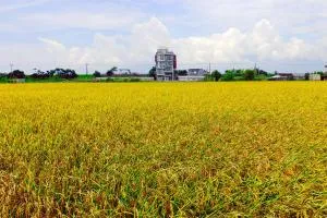 Wudai - Ku-chieh-ts'un