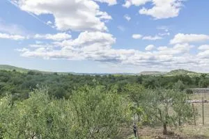 House Green Paradise - Mravnica