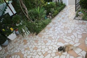 Apartmani Aleksic