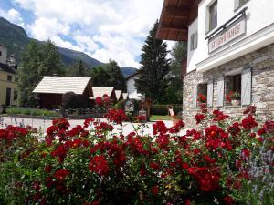 Hotel Stegmühlhof