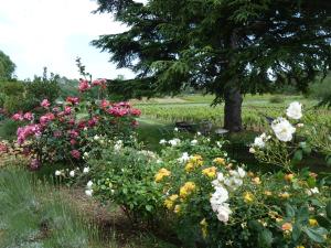 Appartements Les Vignes de Terrisse : photos des chambres