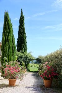 Maisons de vacances La Bastide des Vasses 