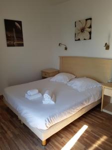 Hotels Hotel Ariana : photos des chambres