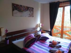 Ski & Sun Wellness Apartments