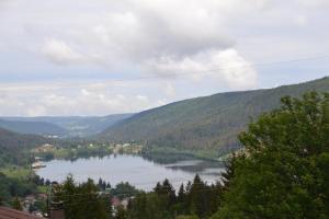 Les Loges du Lac - Appartement avec Terrasse photo 21
