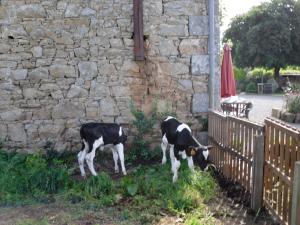 Maisons de vacances Le Cheval Rouge : photos des chambres