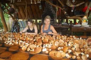 U Mirka i Dorotki - Zwierzyń