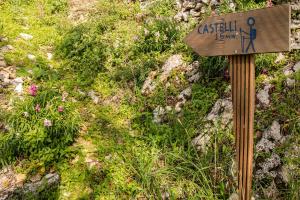 Castelli Olive Press