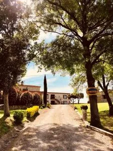 B&B El Ranxo - Cassà de la Selva