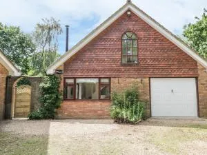 Squirrels Drey - Great Fransham