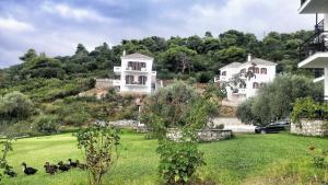 Mando Beachfront Skopelos Greece