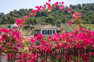 Mando Beachfront Skopelos Greece