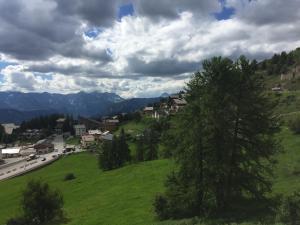 Appartements Le Balcon de Valberg : photos des chambres