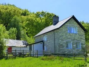 Dolmurgoch Snowdonia Cottage - Penmachno