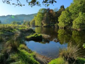 Dolmurgoch Snowdonia Cottage