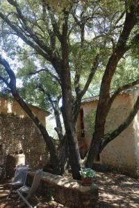 B&B / Chambres d'hotes Le clos des collines : photos des chambres