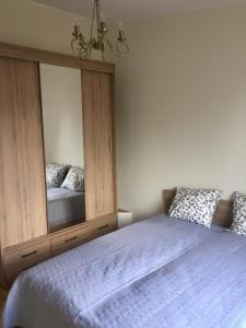 Nemunas Street Apartment